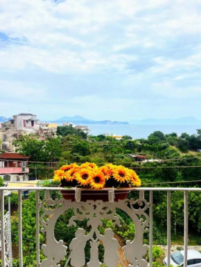 Casa Nina-Bacoli Elegant & View